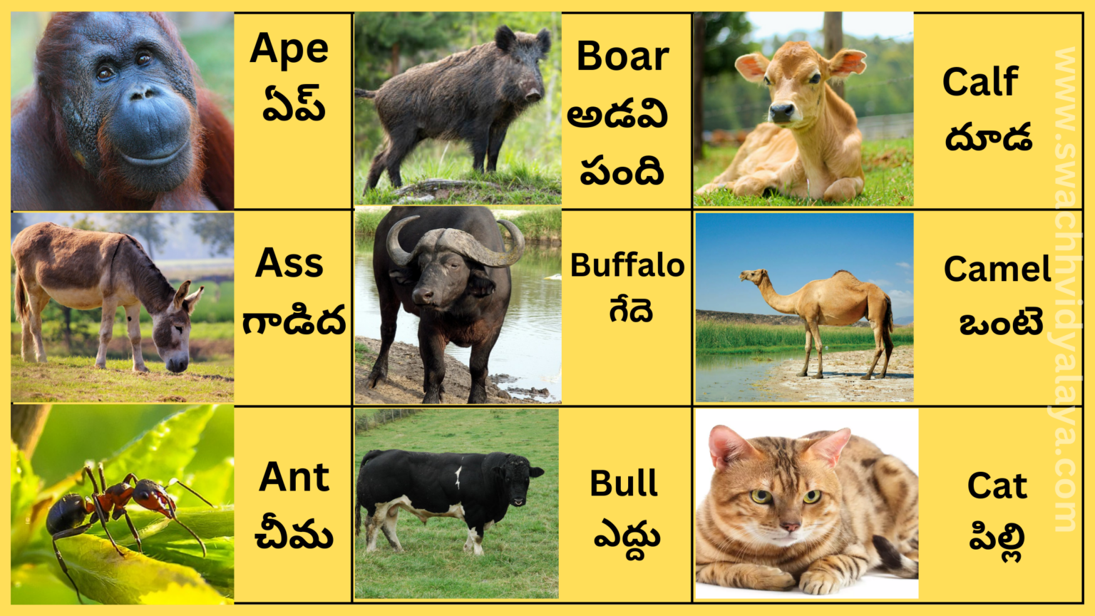 Directions in Telugu and English తెలుగు దిక్కులు